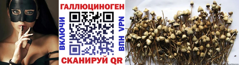 Псилоцибиновые грибы MAGIC MUSHROOMS  Кизляр 
