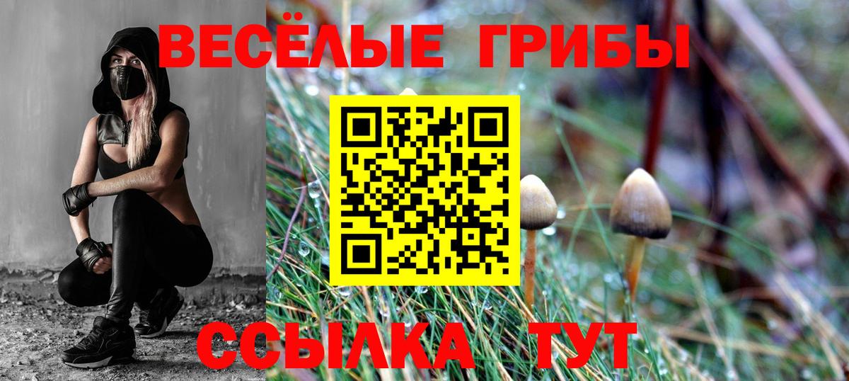 Кизляр  Псилоцибиновые грибы ЛСД  Галлюциногенные грибы прущие грибы  Вход с VPN 