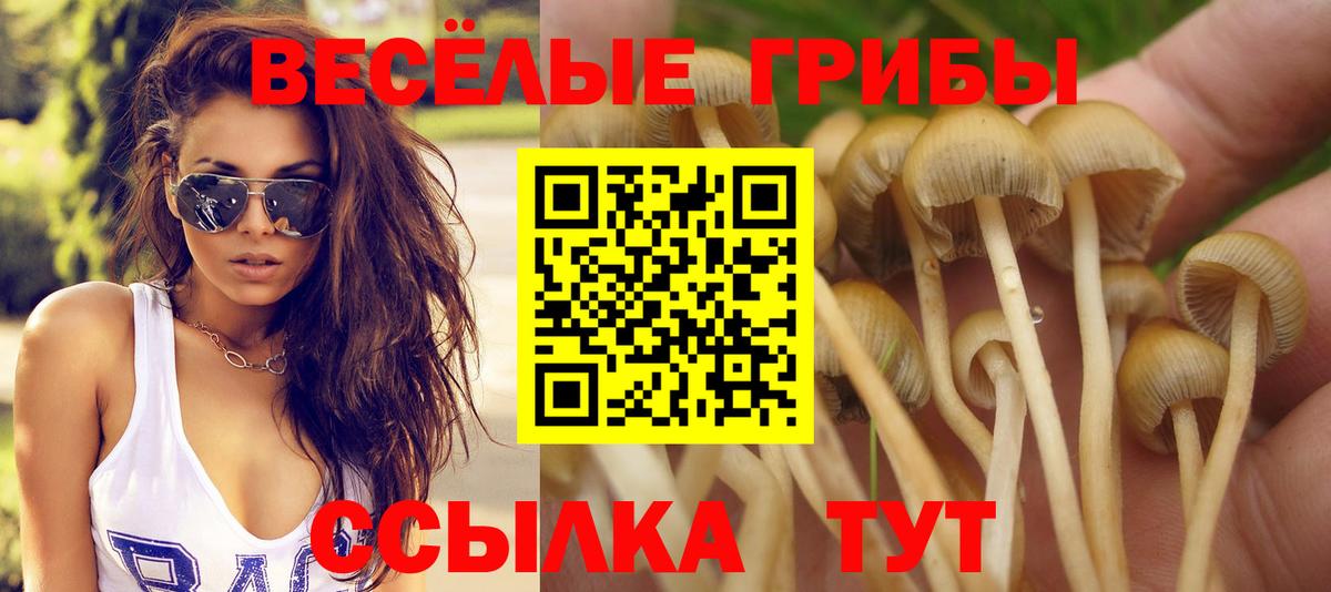 Псилоцибиновые грибы GOLDEN TEACHER Кизляр