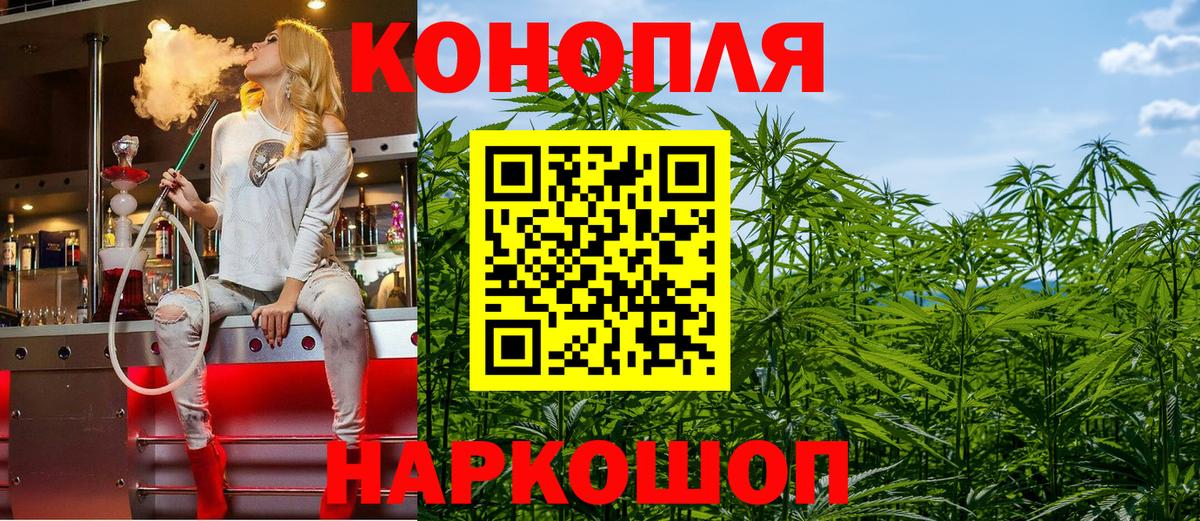 Бошки Шишки планчик Кизляр